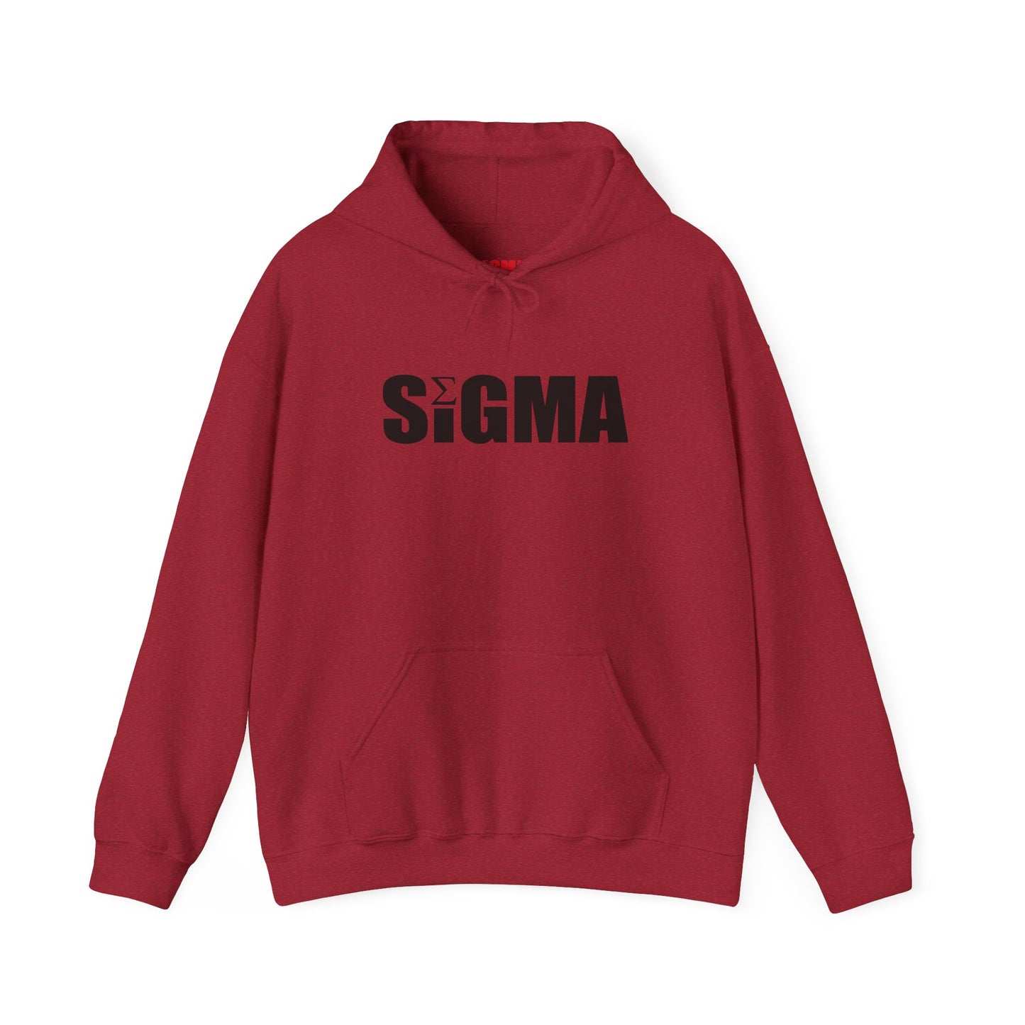 SIGMA PIXELATED HOODIE