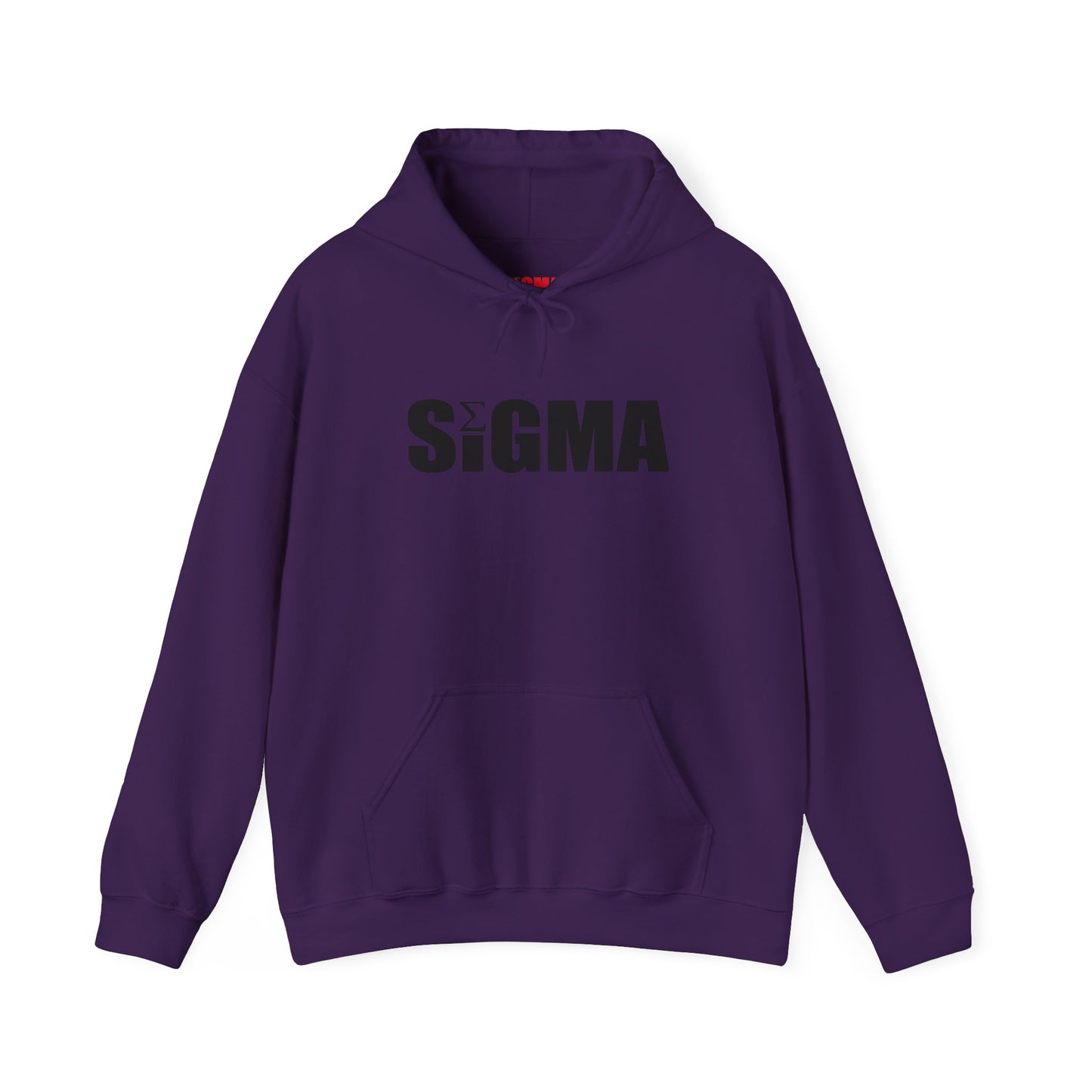 SIGMA PIXELATED HOODIE